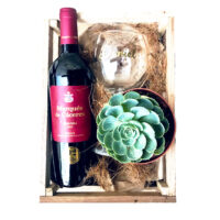 Wine Box Marqués de Cáceres